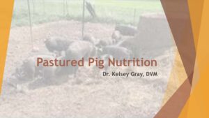 View the powerpoint slides from the feed and nutrition webinar hosted in February 2026.